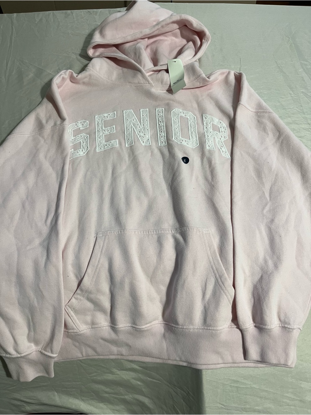 Hollister Light Pink "SENIOR" Pullover Hoodie Women’s Size Large NWT